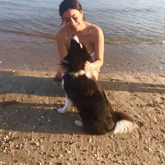 paopao88